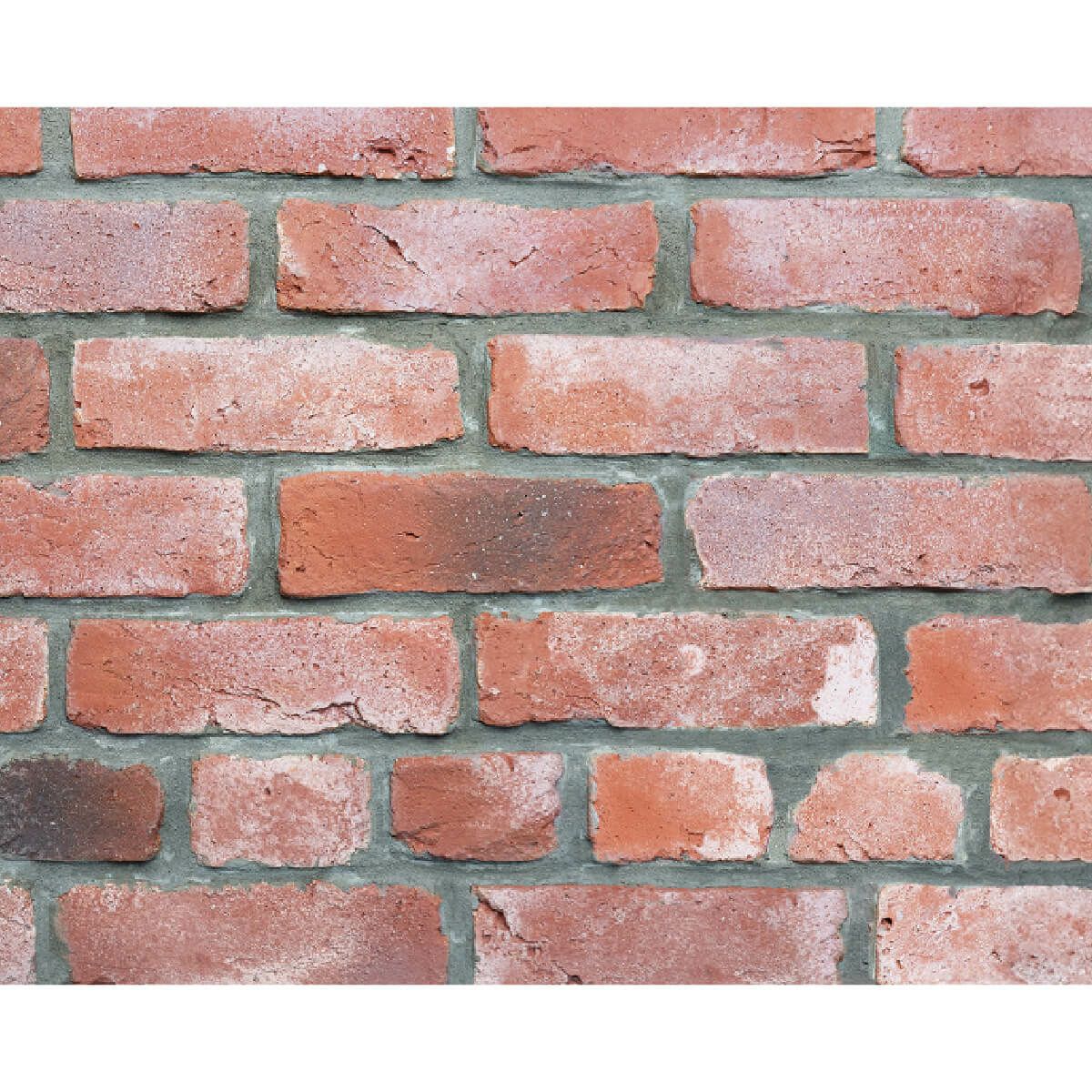 スライスレンガ Amazon | スライスレンガ 古レンガ 赤 レンガタイル (スライスレンガ