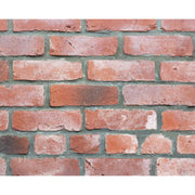 キャン’ブリック イングランド