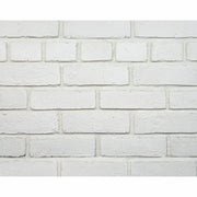 キャン’ブリック シロブリ