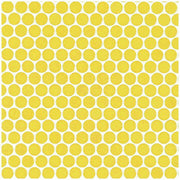 ハイカラー【V】