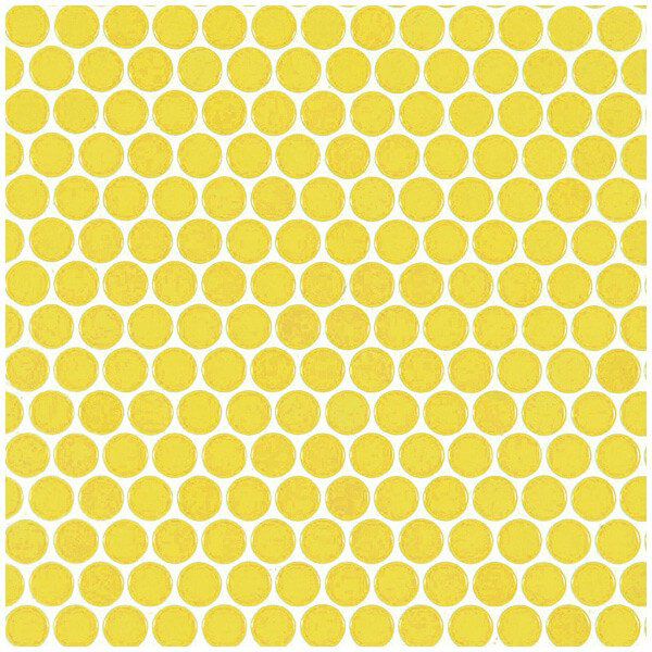 ハイカラー【V】