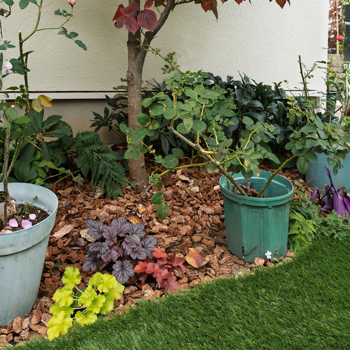 ナチュラルバーク Sサイズ