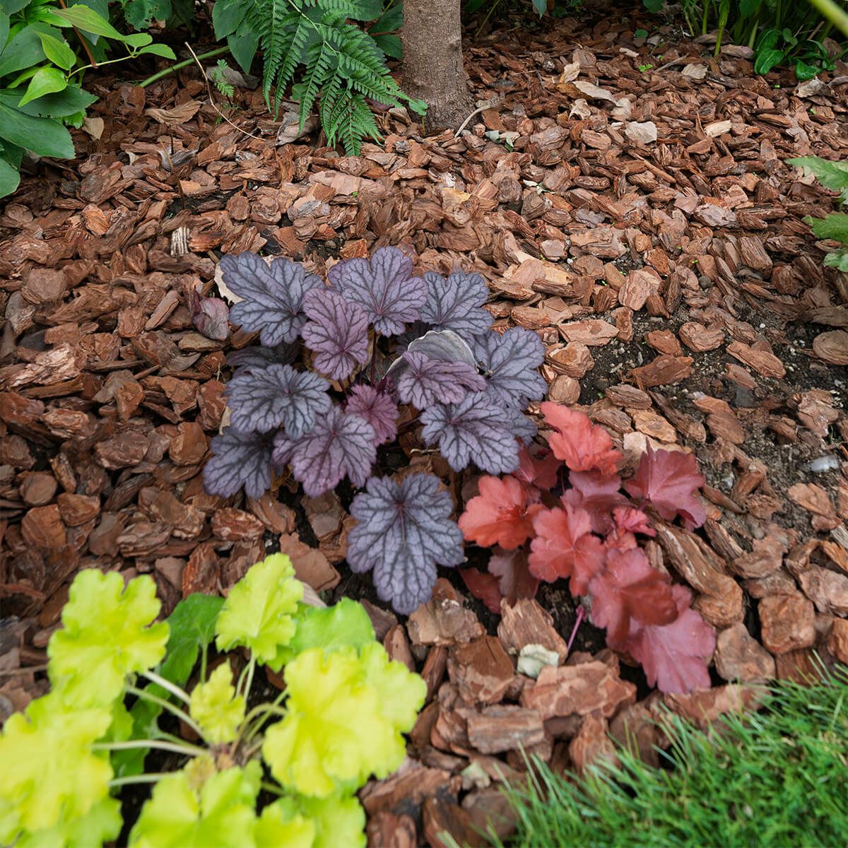 ナチュラルバーク Sサイズ