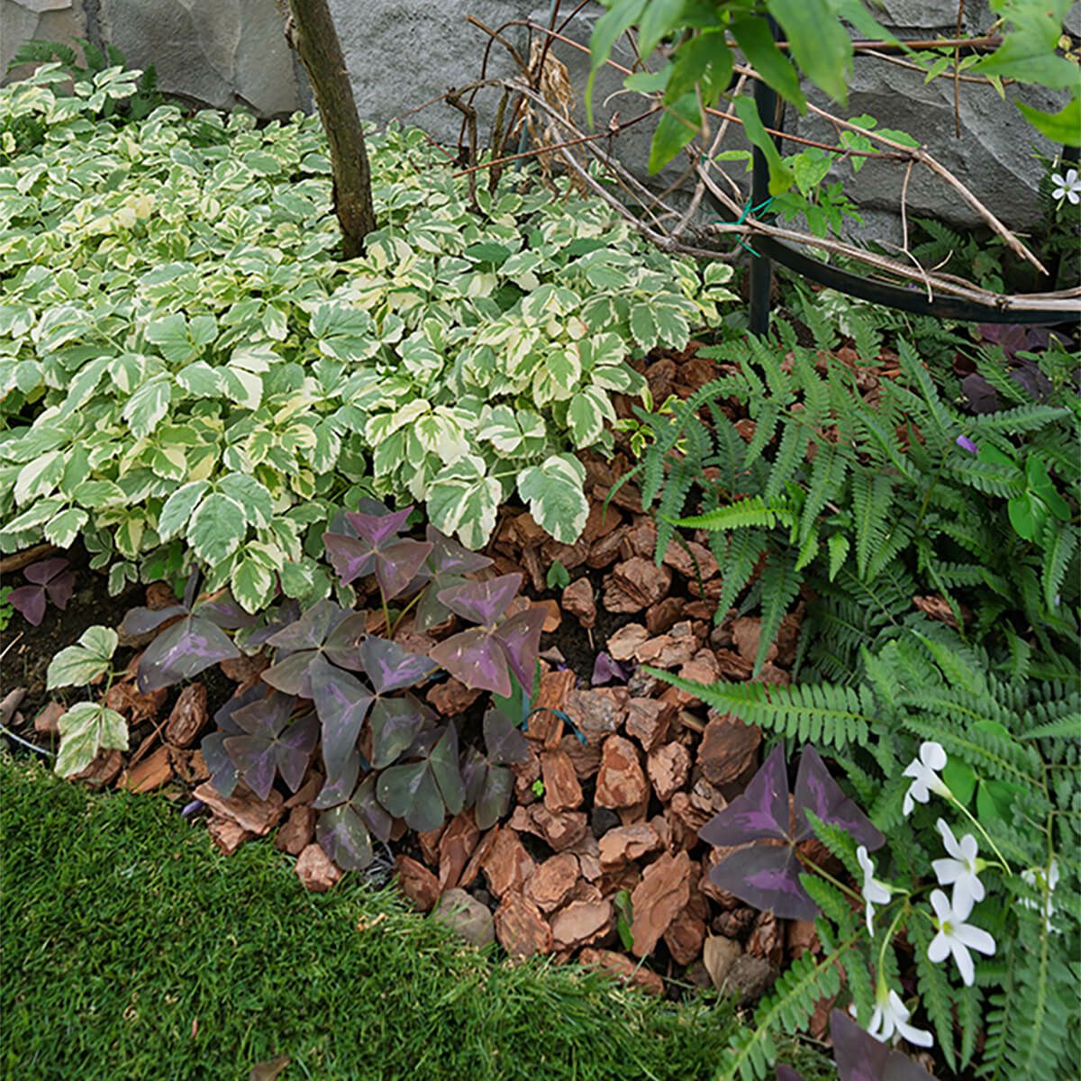 ナチュラルバーク Sサイズ