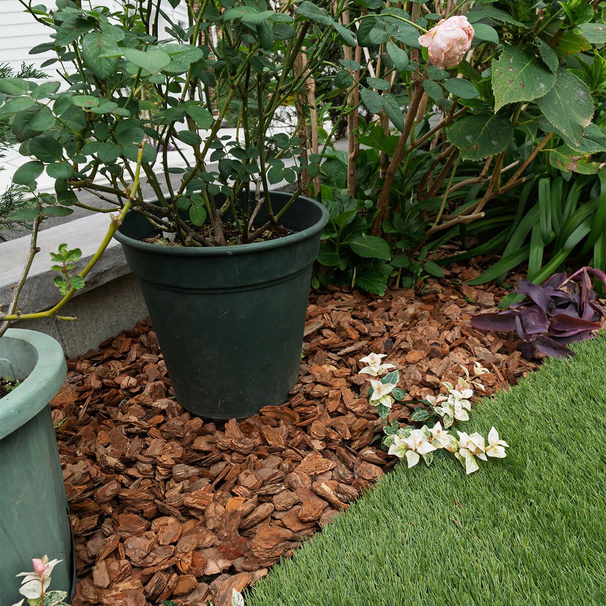 ナチュラルバーク Sサイズ