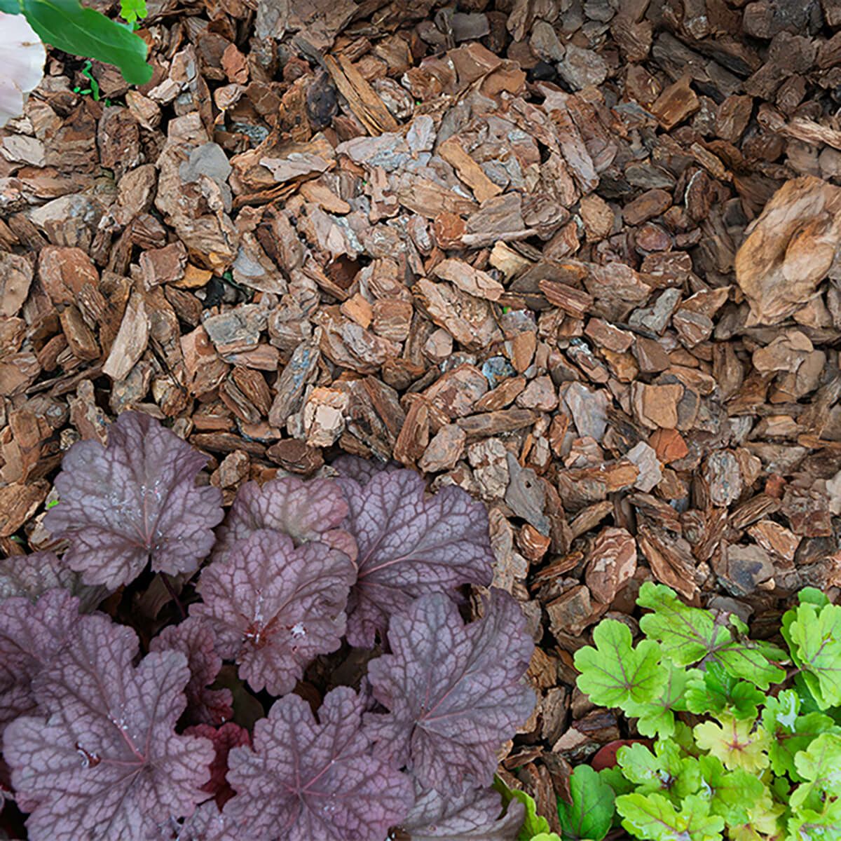 ナチュラルバーク Sサイズ