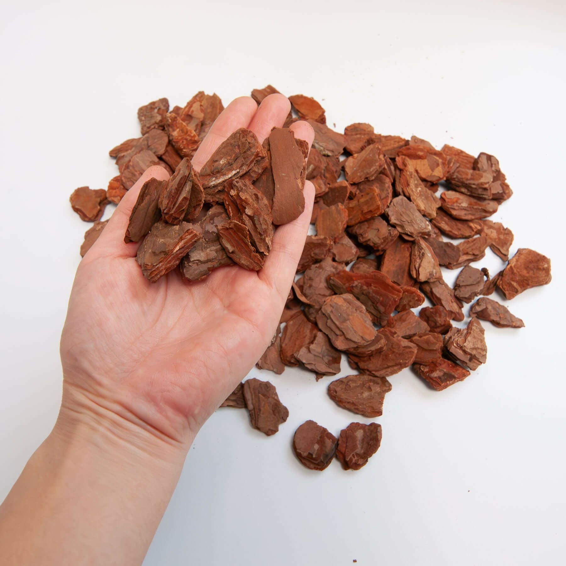 ナチュラルバーク Sサイズ