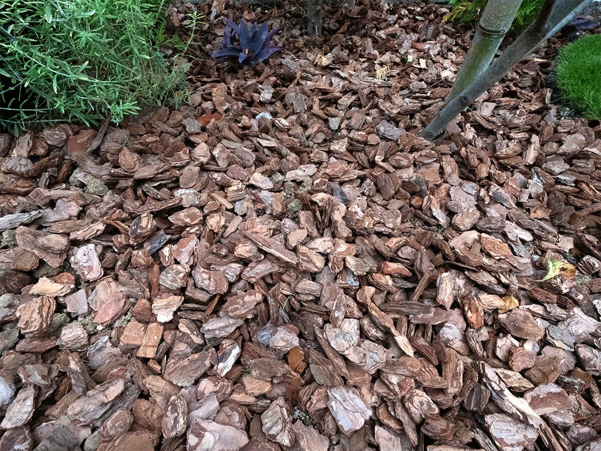 ナチュラルバーク Sサイズ