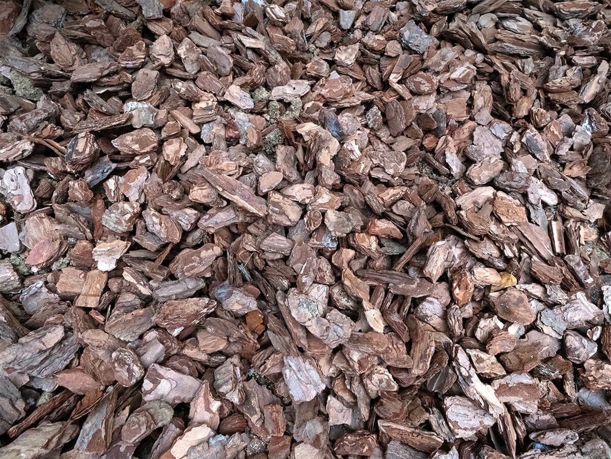 ナチュラルバーク Sサイズ