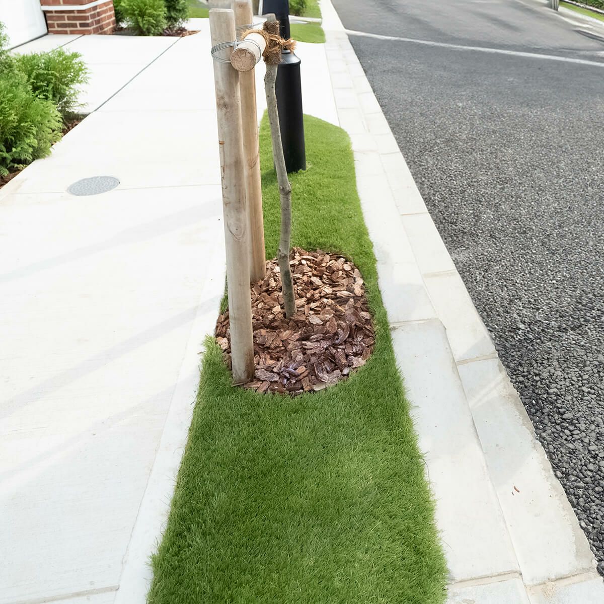 ナチュラルバーク Sサイズ