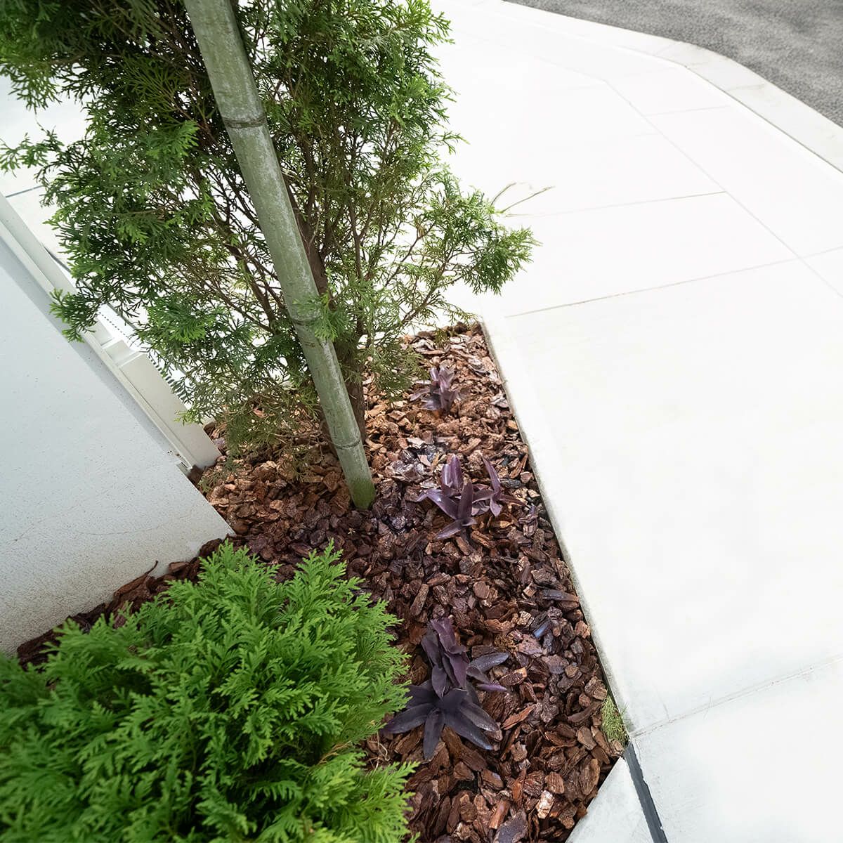 ナチュラルバーク Sサイズ