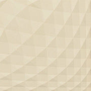 ニュートランス（レリーフ）<br>エコカラットプラス