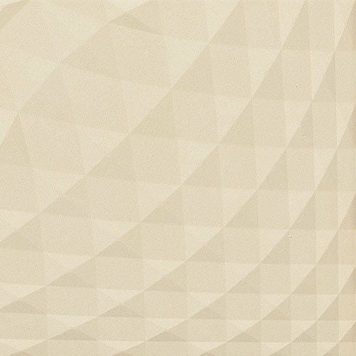 ニュートランス（レリーフ）<br>エコカラットプラス