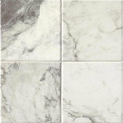 マルミアプアーニ