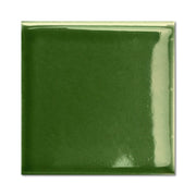 ARGILE-アーガイル（TACO ARGILE VERDE）4X4