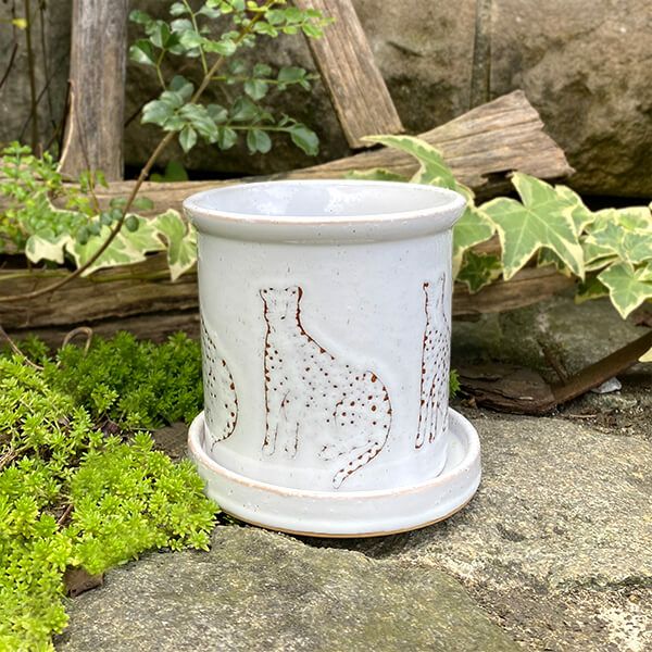 モニカ M 植木鉢 受け皿付  HO-2711BE