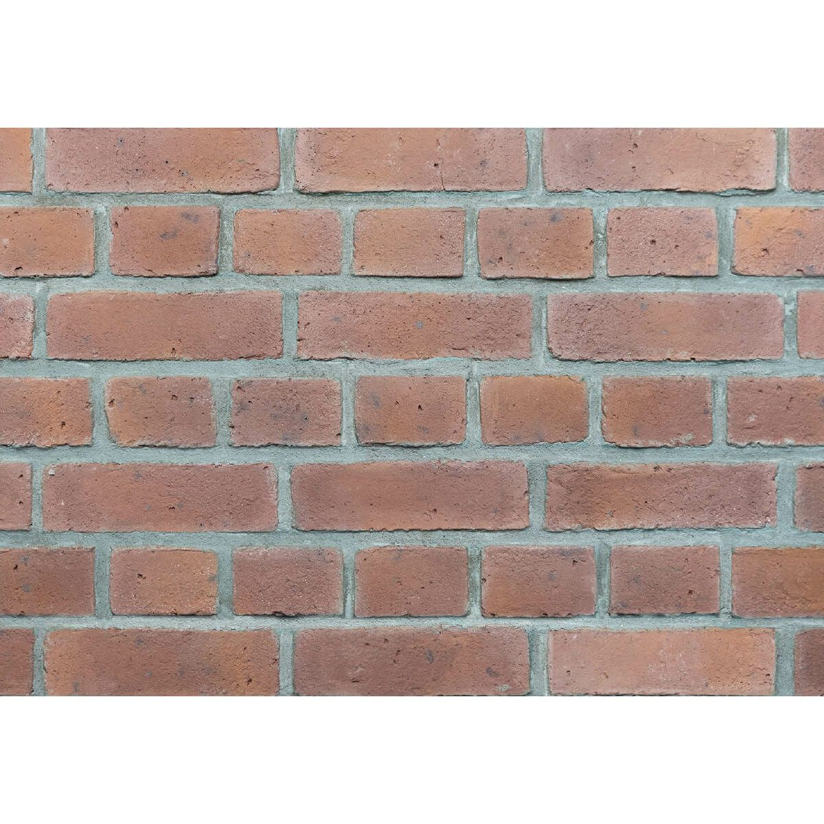 キャン’ブリック テキサスクレンショー