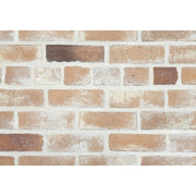 キャン’ブリック スタンダード