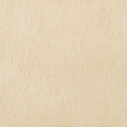 ファインベース<br>エコカラットプラス