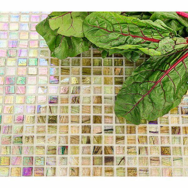 CELESTE - セレステ