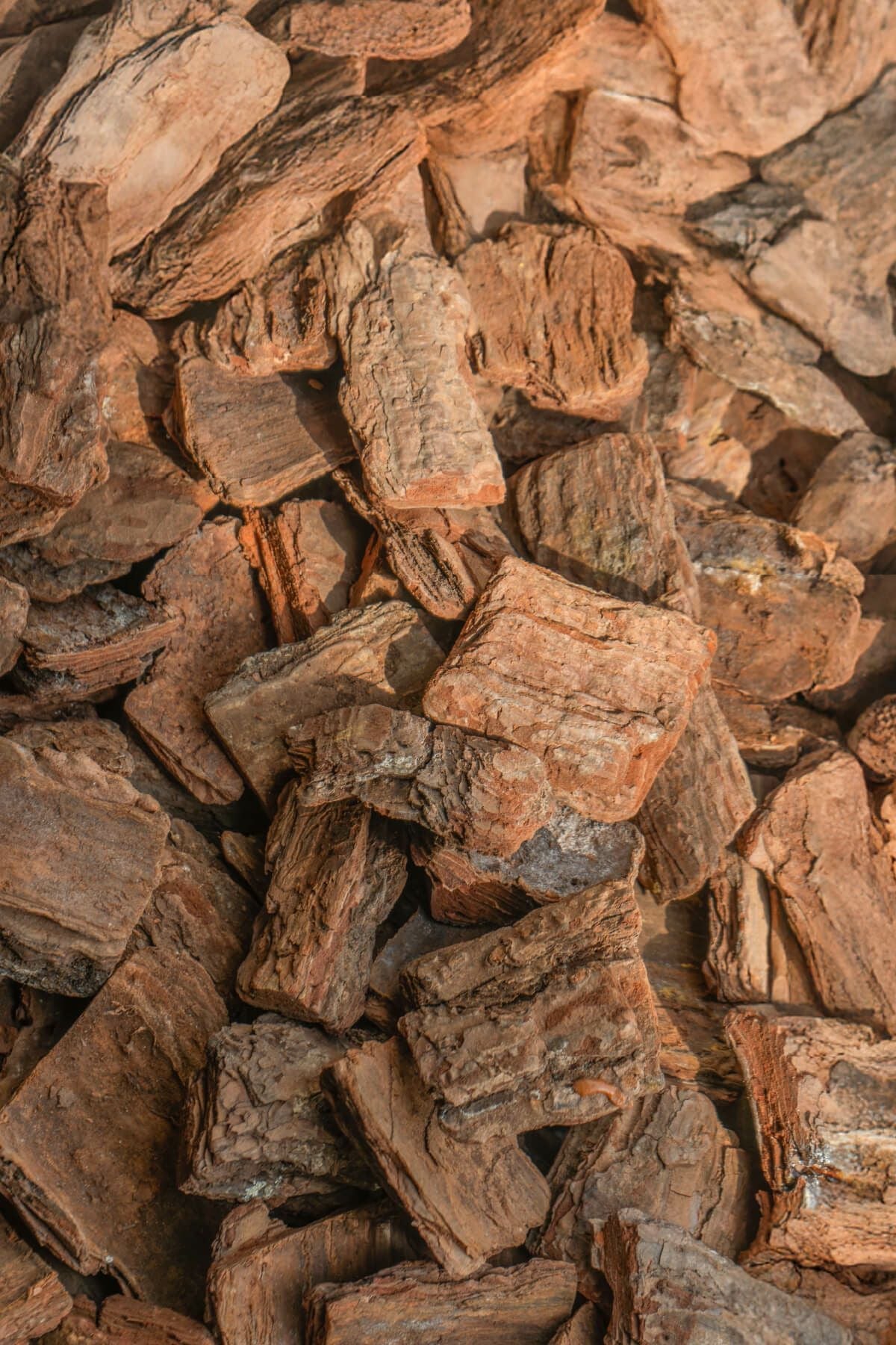 ナチュラルバーク Lサイズ