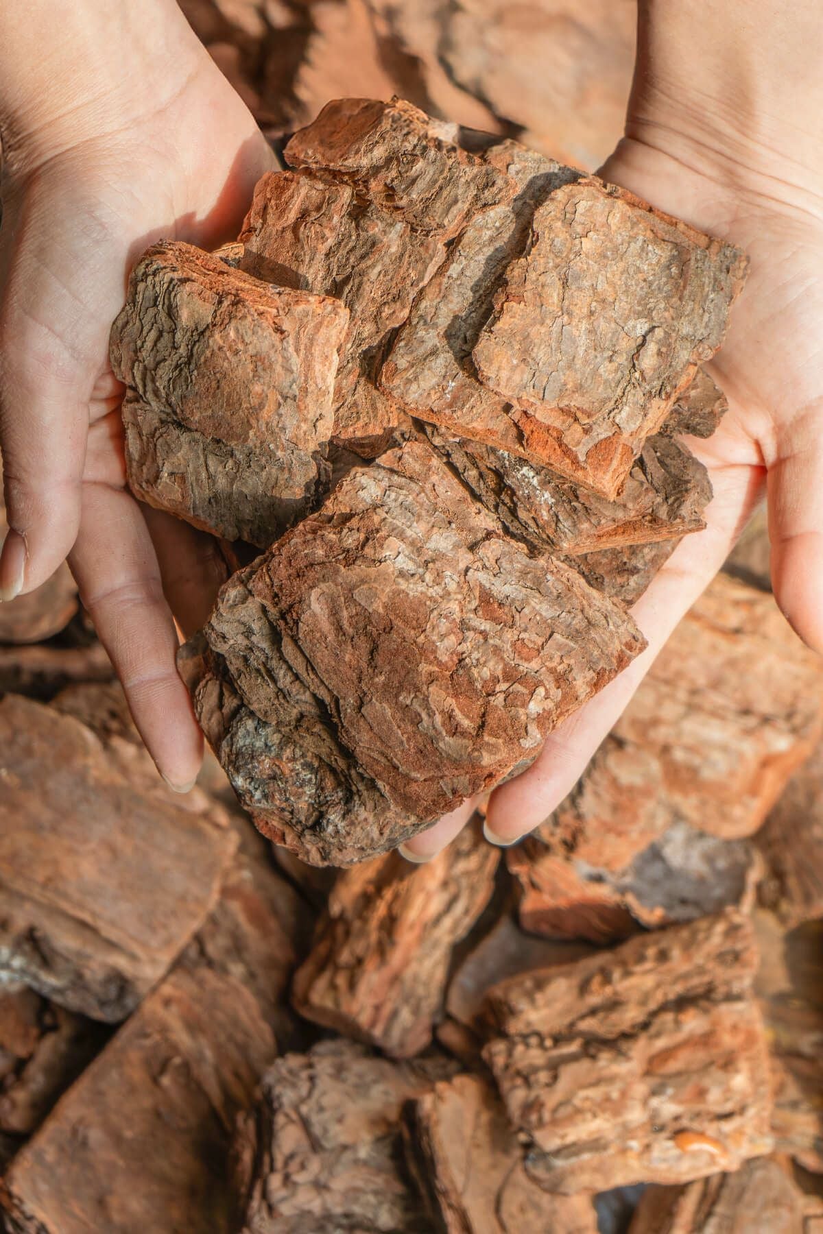 ナチュラルバーク Lサイズ