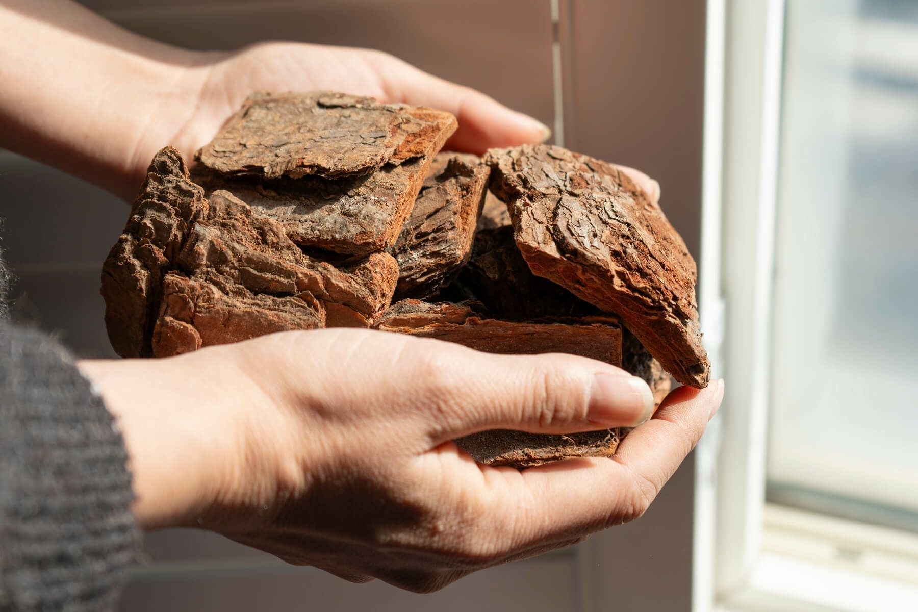 ナチュラルバーク Lサイズ