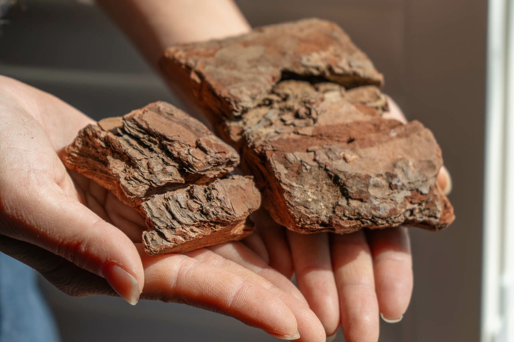 ナチュラルバーク Lサイズ