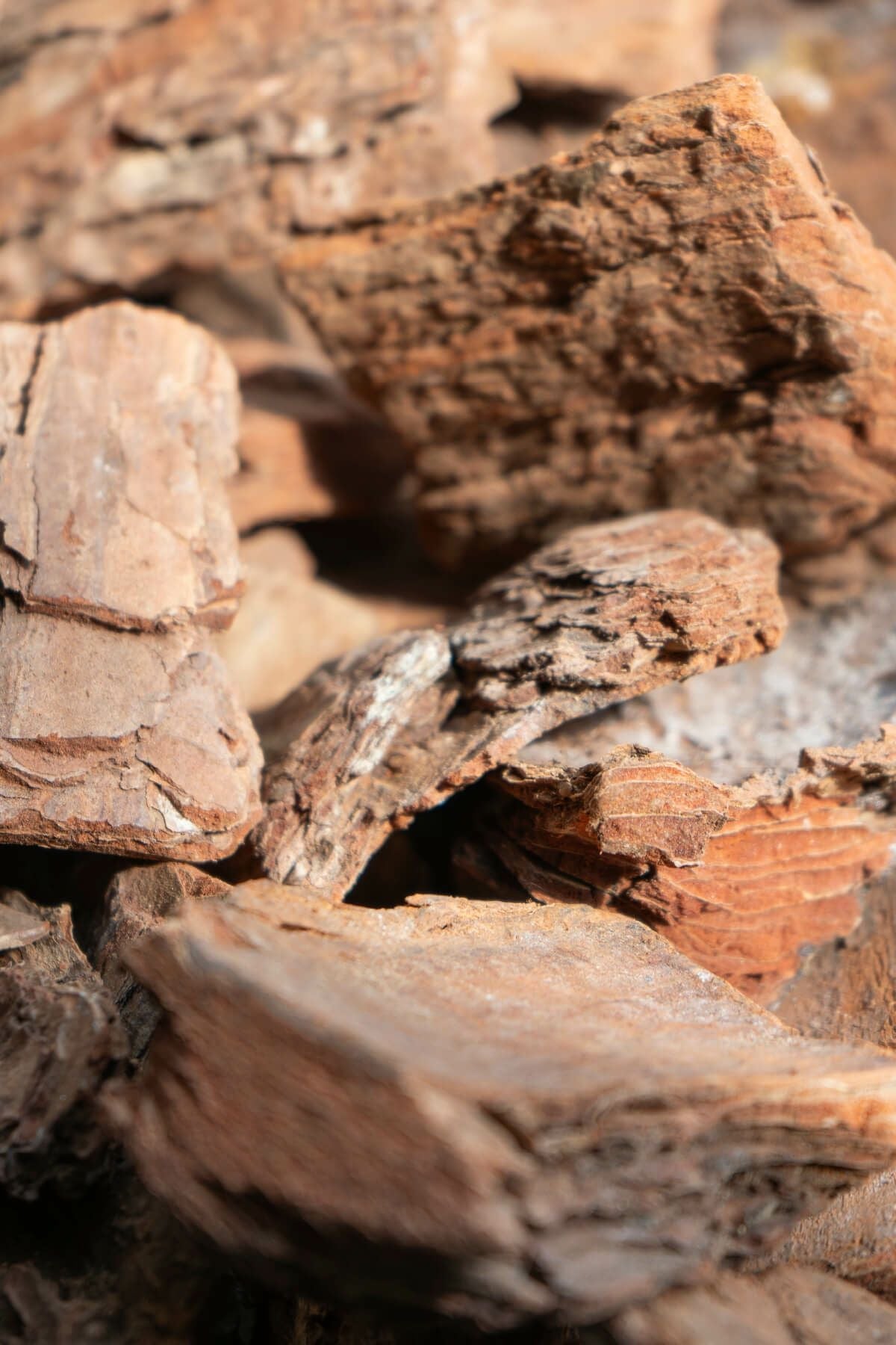 ナチュラルバーク Lサイズ