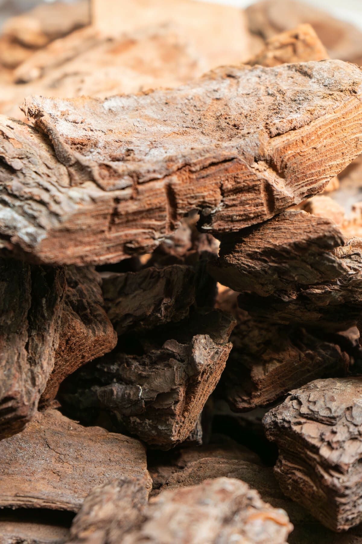 ナチュラルバーク Lサイズ