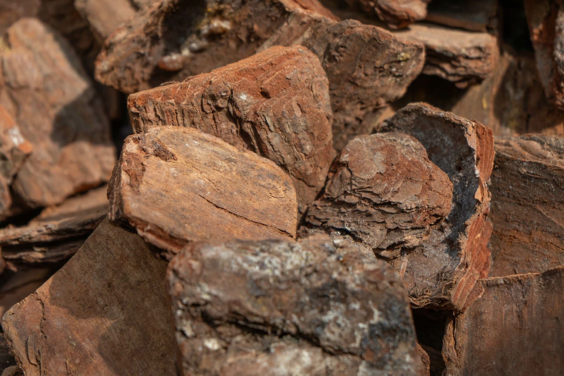 ナチュラルバーク Lサイズ