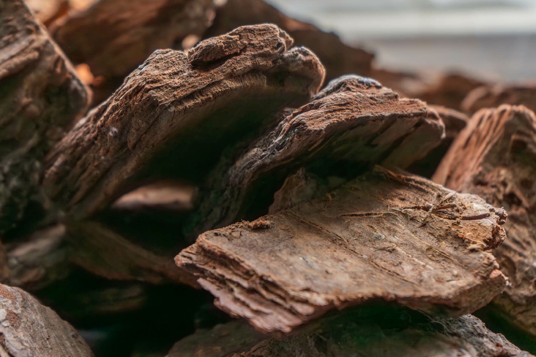 ナチュラルバーク Lサイズ