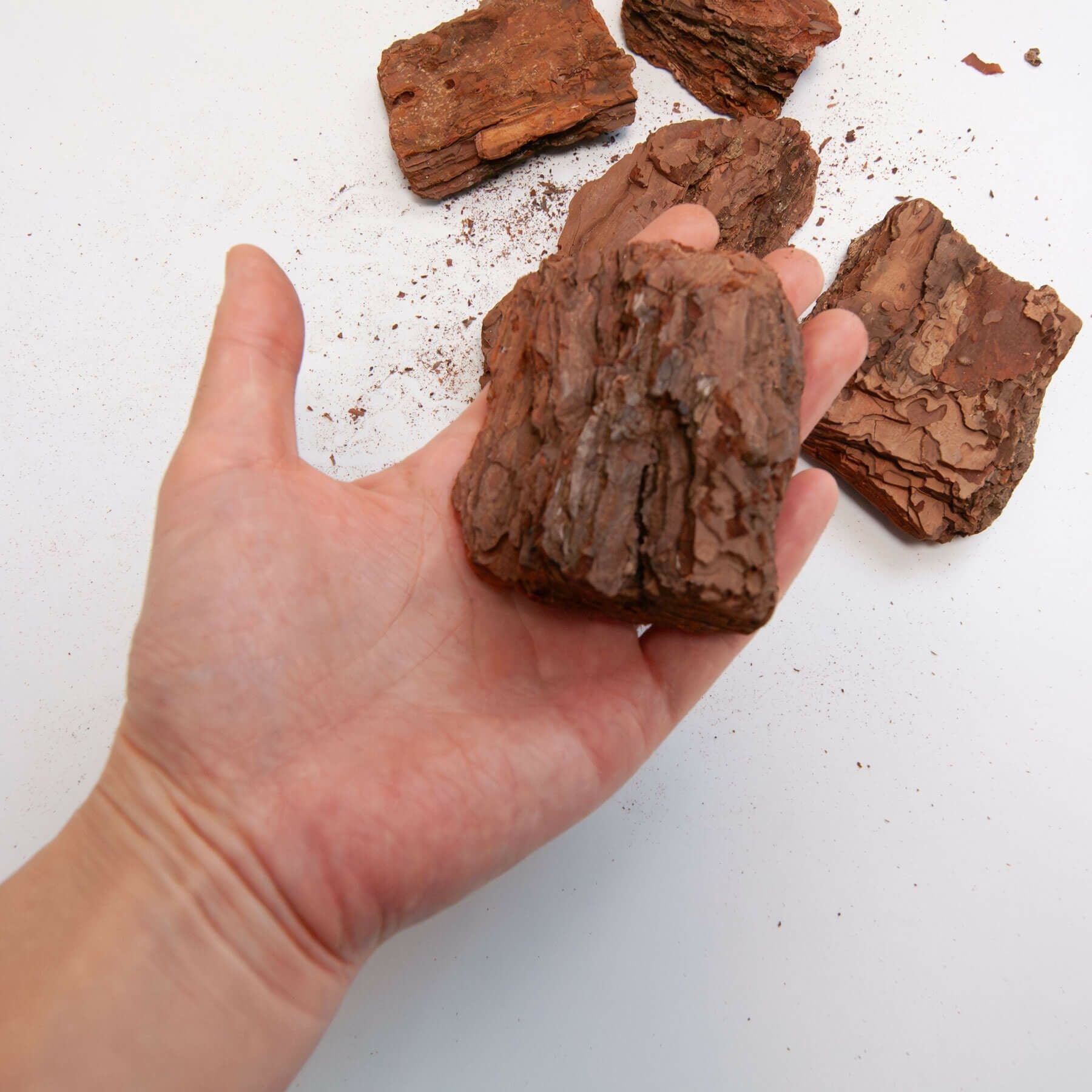 ナチュラルバーク Lサイズ