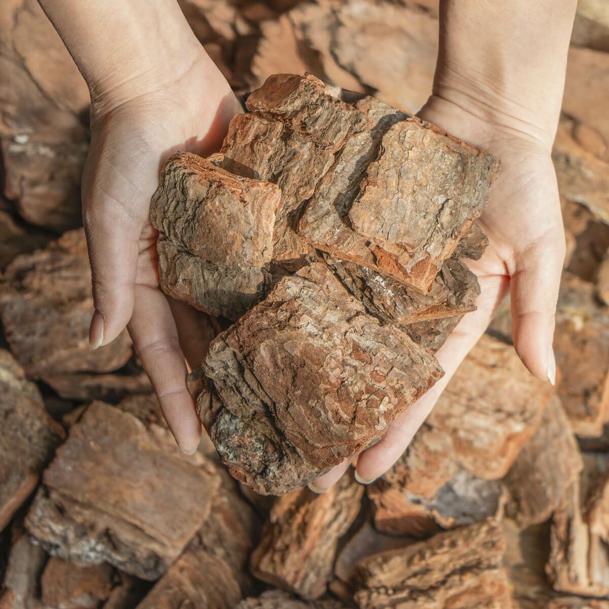 ナチュラルバーク Lサイズ