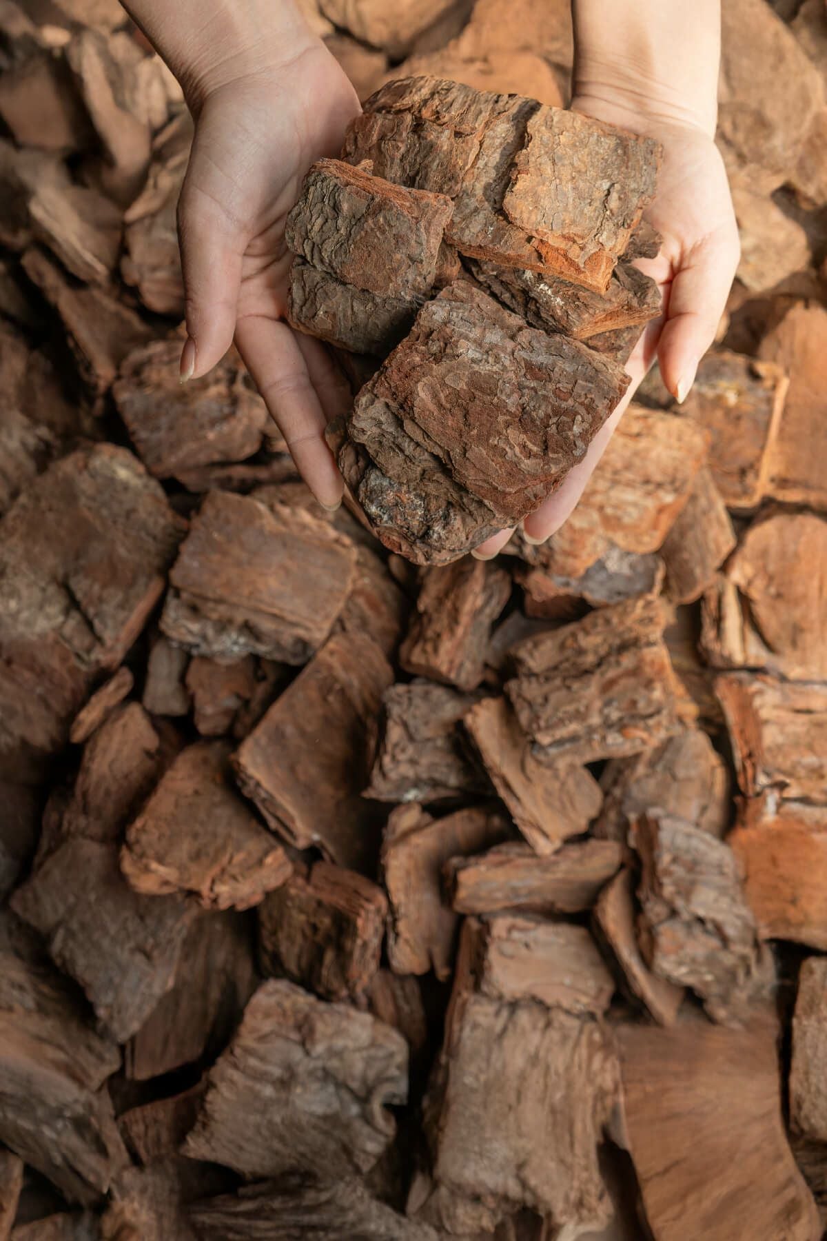 ナチュラルバーク Lサイズ