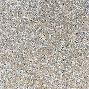 マルコポーロ（磨き）