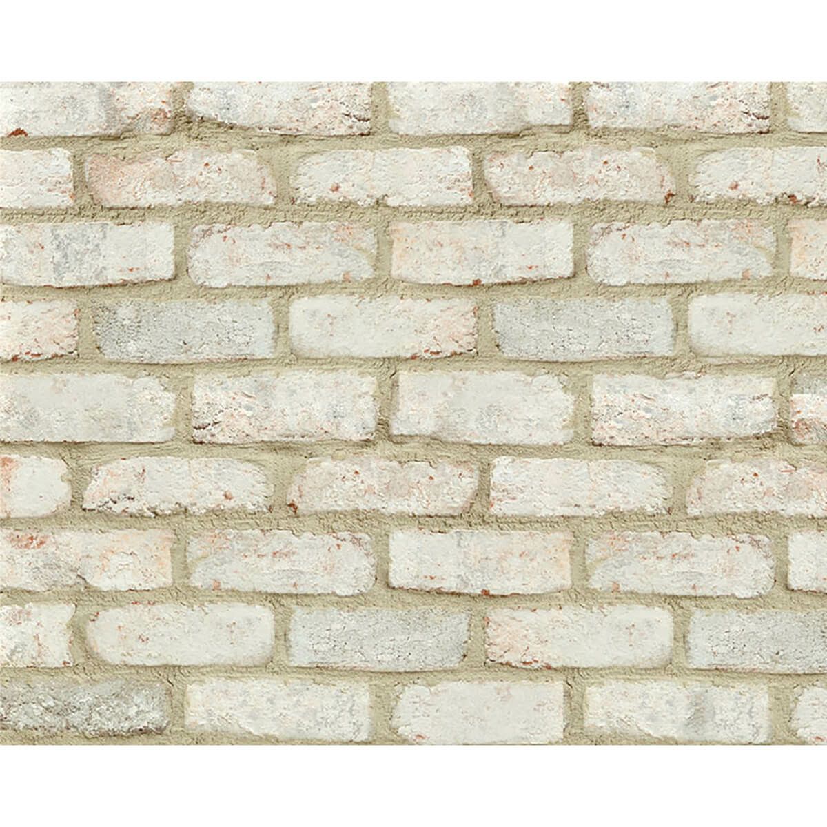 キャン’ブリック G.G.ブルックリン