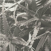 デザインパネルキット